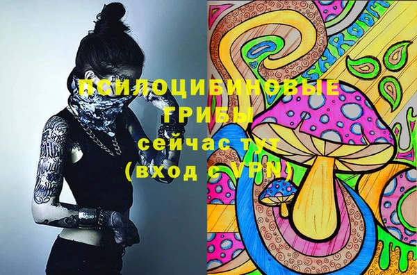 прущие крисы Белокуриха