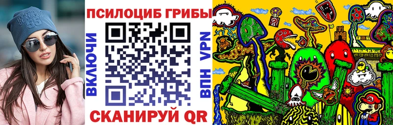 Псилоцибиновые грибы мицелий  даркнет состав  Новотитаровская 